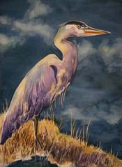 6. Wading and Watching